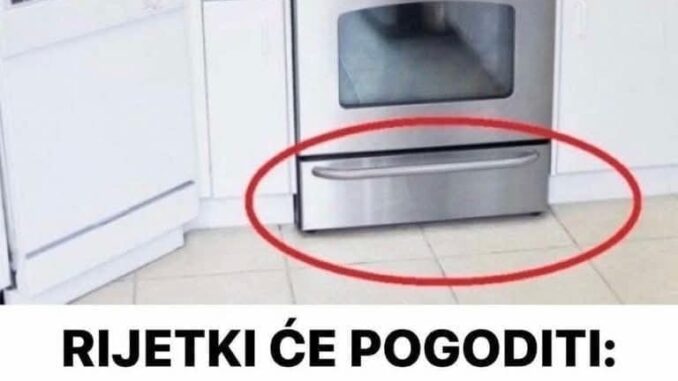 FB_IMG_1740331709467