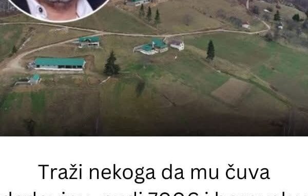FB_IMG_1742205615223