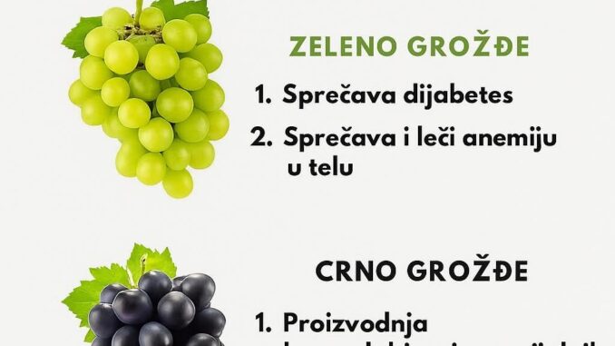 grozdje
