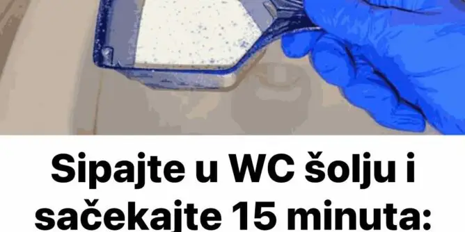 494524111_3102801963229597_2102901302375080627_n-668x334 (1)