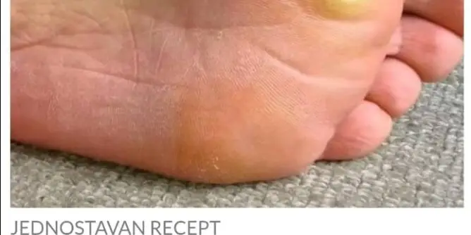 469161000_901094365483458_937436545736200797_n-668x334-1
